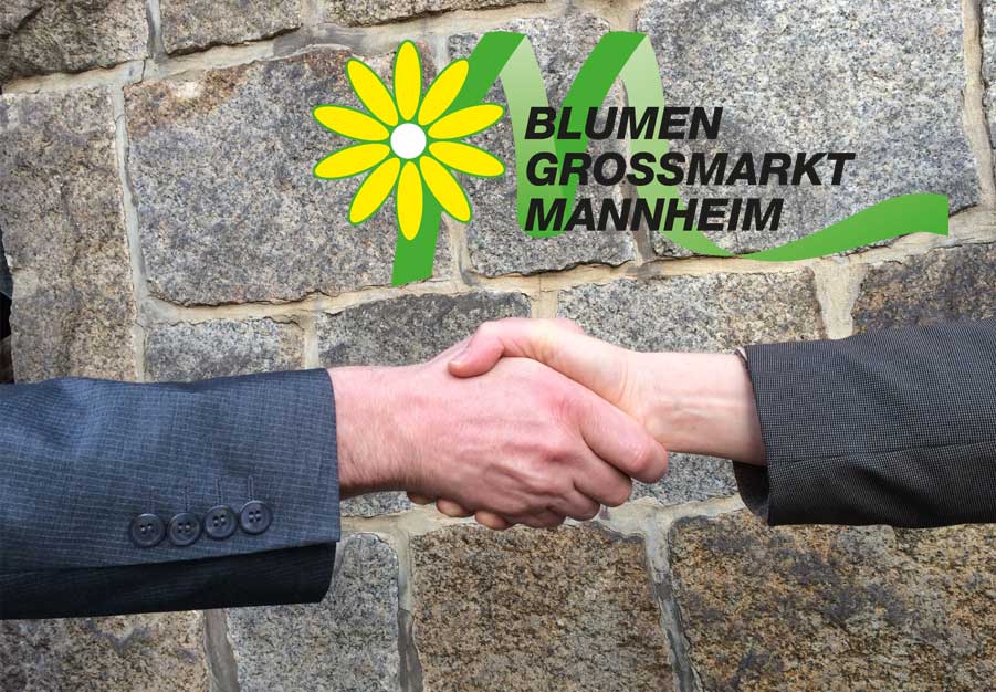 Ansprechpartner