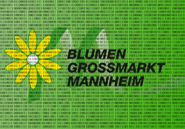 Datenschutzerklärung Demobild