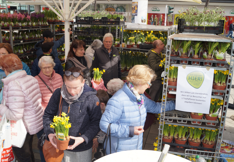 2023 Mannheim blüht mit Regio-Blumen auf! 3